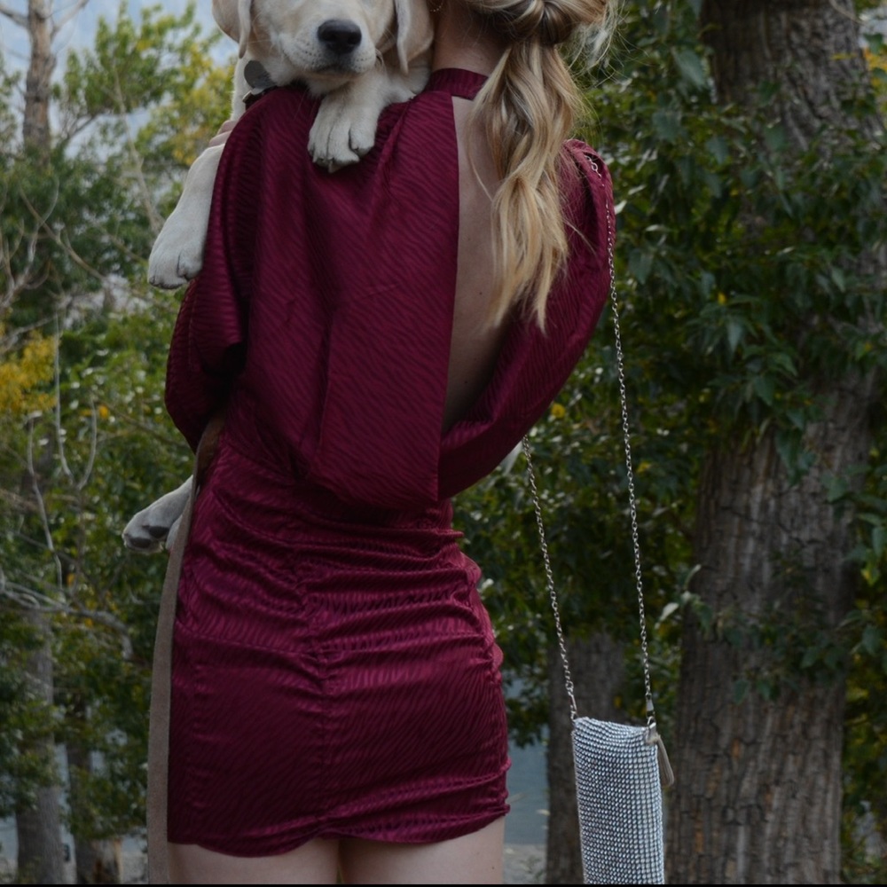 silk zebra maroon dress